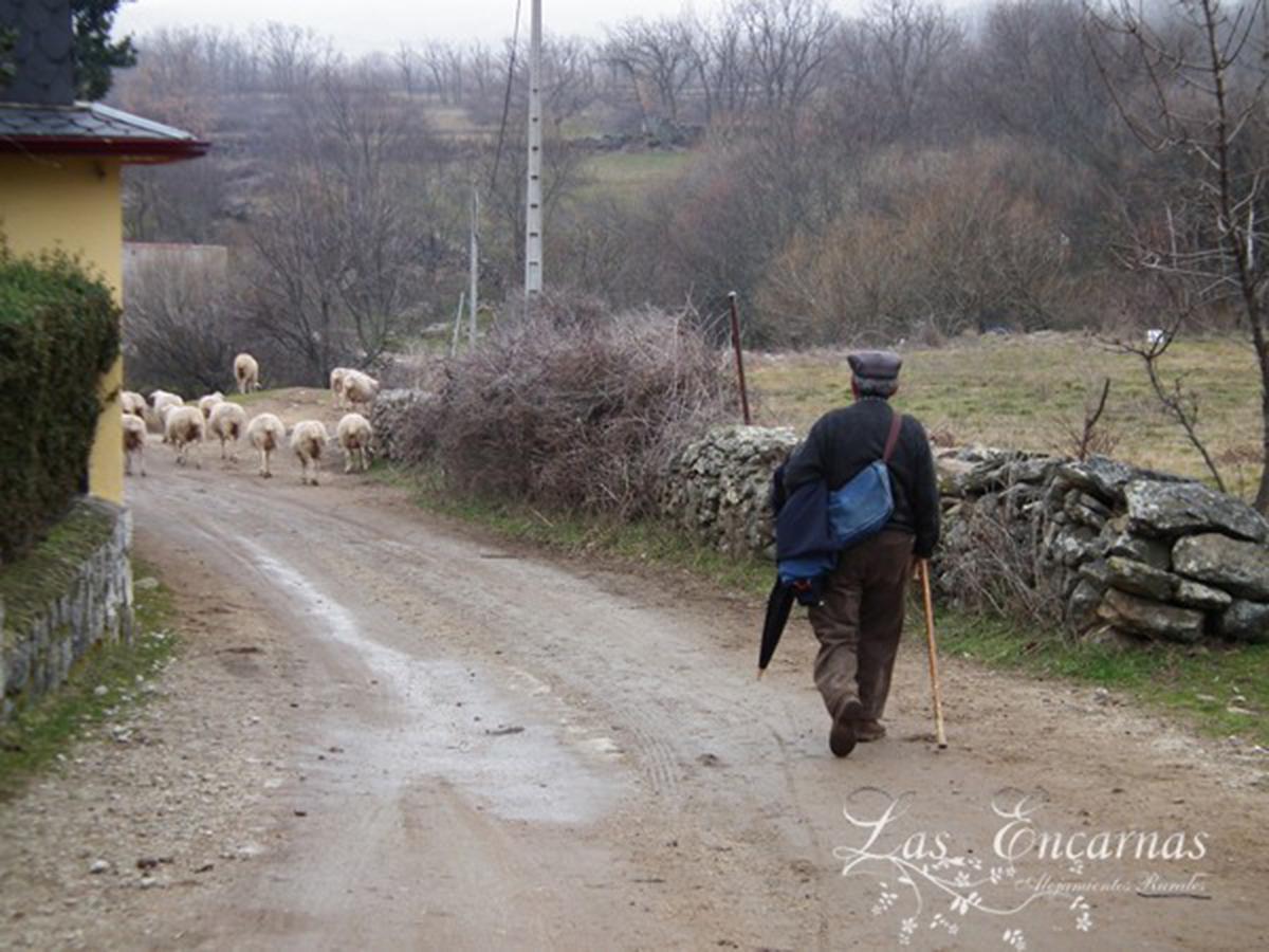 Las Encarnas Braojos de la Sierra Dış mekan fotoğraf